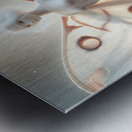 A parallel world  Metal print