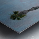 stairway to heaven 2 palms Metal print