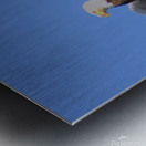 Were a pair Metal print