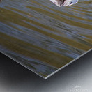 Acrobatics Metal print