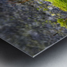 Ancient Wall With Moss Metal print