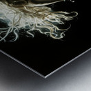Ethereal Beauty - Ethereal Charms Metal print