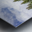 Schwabacher Metal print