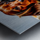 The love of pets Metal print