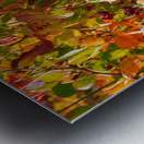 a picturesque scene of a colorful garden in a har Metal print