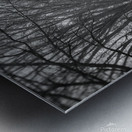 Trees in fog  Metal print