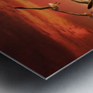 a stunning photograph of seagulls gracefully soar Metal print