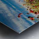 Wildflower Meadow Metal print