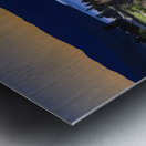 Time to Grow Metal print