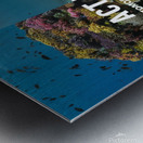 a striking split image featuring a thriving multi 1716193162.2186 Metal print