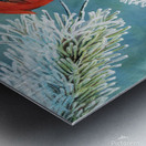 Winter Red - Painting Metal print