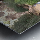 Natural scenery springs Metal print