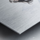 Mountain girl Metal print