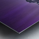 Castle Mountain in the Spotlight Metal print