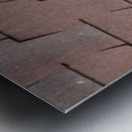 I pose for you Metal print