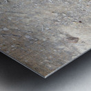 Look closely Metal print