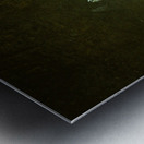 10617 Great Blue Heron Ardea herodias Metal print