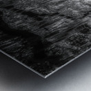 Oak Allee Tunnel of Light Metal print