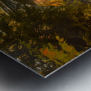 Profiles Falls Autumn  Metal print