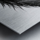 Arabian Wild Horse Metal print