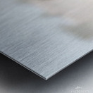 Desert Horses Metal print