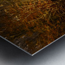 Explore Park  Sloans Grist Mill  Metal print