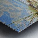 BeCasso 2024 04 13 10 21 39 Metal print