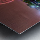 La Grande Roue de Montreal Metal print