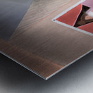 Lune et tarot  Metal print