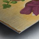 Mes plantes  Metal print