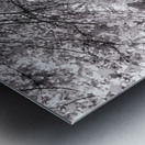 lynchburg old city cemetery BWpink Metal print