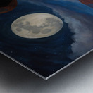 Basking in the Midnight Air Metal print