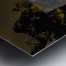 Old Sheldon Church Under the Stars Metal print