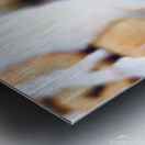 Cinnamon Buns Metal print