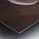 Mushrooms Metal print