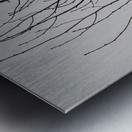 Silhouette Birds in a Tree Metal print