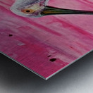 Magikheart 2024 06 06 20 36 30 Metal print