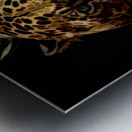 Jaguar on the Hunt  Metal print