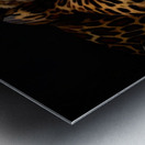 Resting Jaguar Metal print