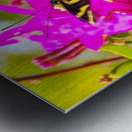 butterfly Metal print