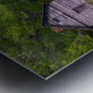 Puckett Cabin Homestead Metal print