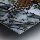 Pinecone  Metal print