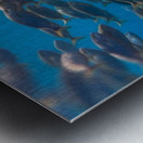School of fish oil painting style Metal print