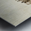 Cadiz Spain Skyline Metal print