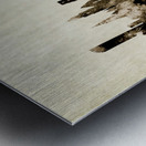 Wroclaw Poland Skyline Metal print