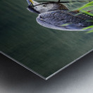 Peaks of Otter Heron Forging Metal print