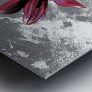 Abstract Textured Maroon Cone Flower Metal print