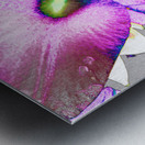 Abstract Colour Popping Lilies  Metal print