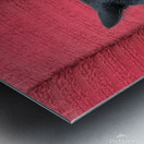 Black Cat Red Chair Metal print