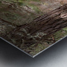  A Walk in Nature in the Scottish Highlands Metal print